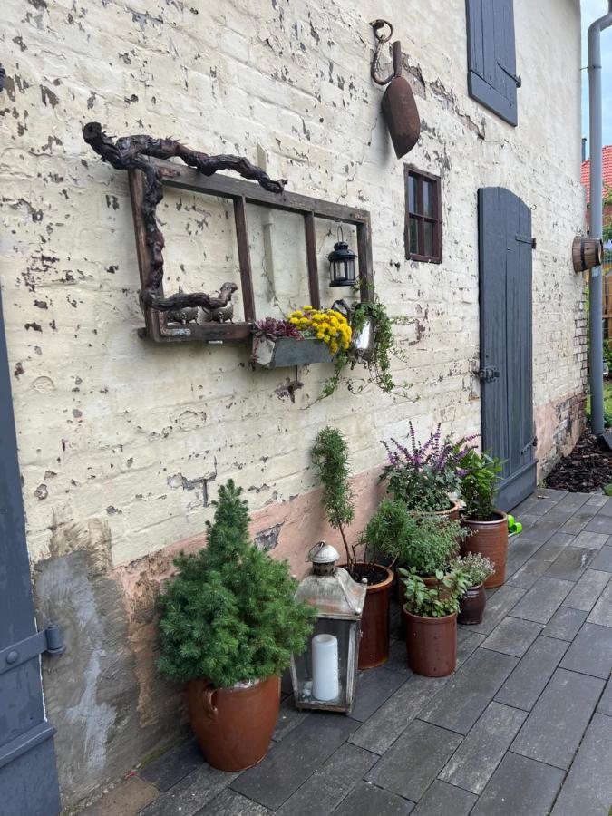 Wanderer Unterkunft Am Hexentanzplatz O ターレ エクステリア 写真